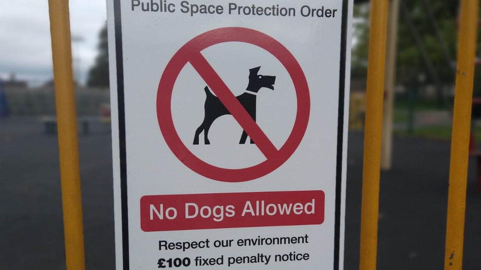 Dog fine sign