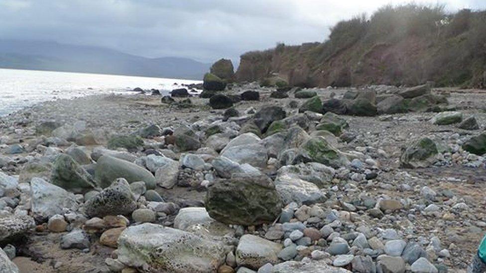 Shaped blocks of limestone on Lleiniog beach