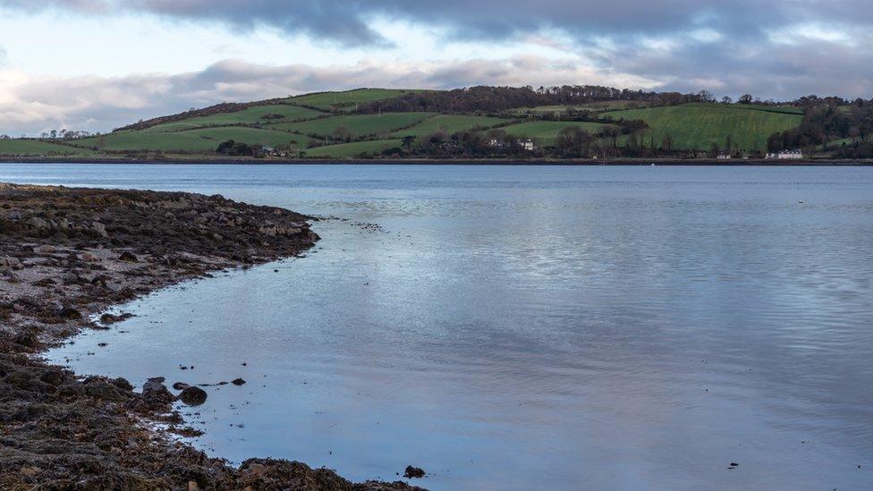 Strangford Lough