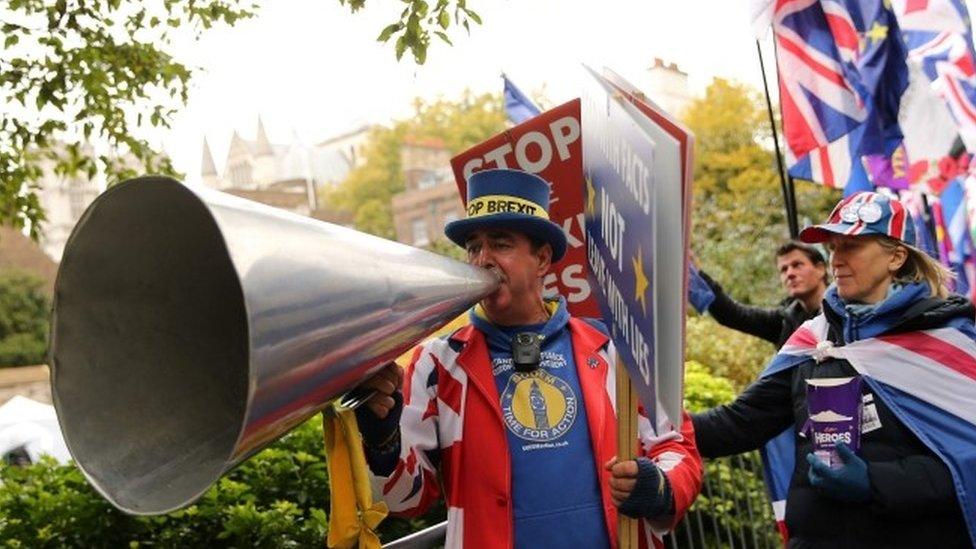 Steve Bray outside Parliament