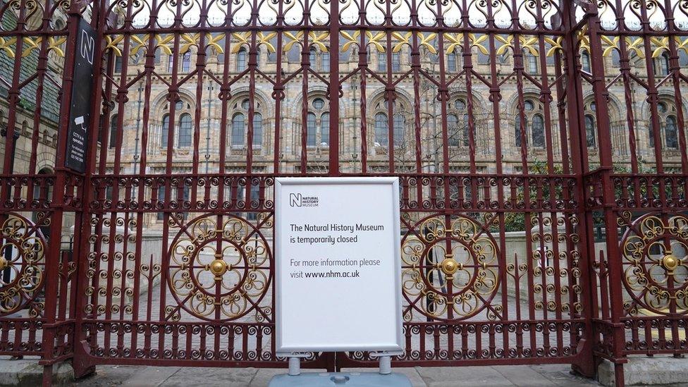 Natural History Museum gates closed