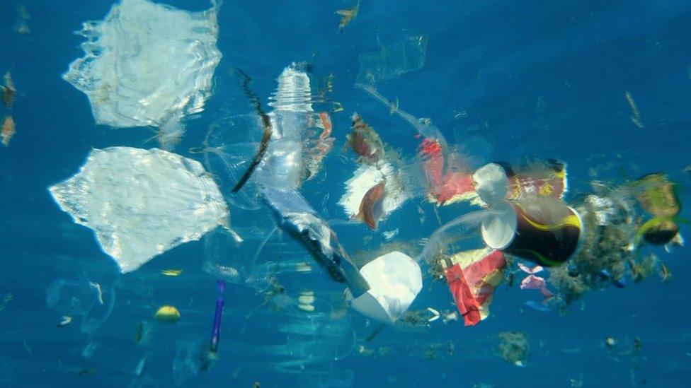 Plastic pollution in thesea