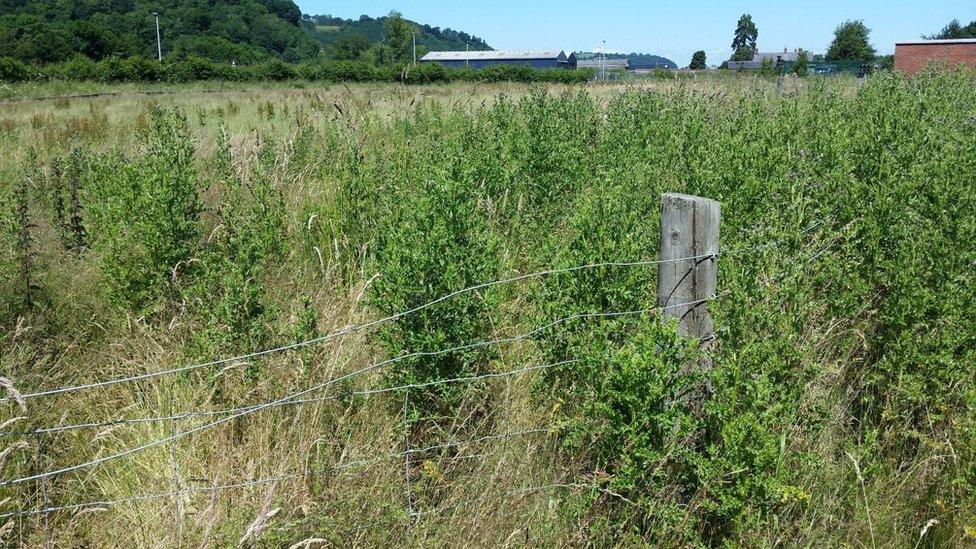 The unkempt Abermule site where a recycling facility will be built