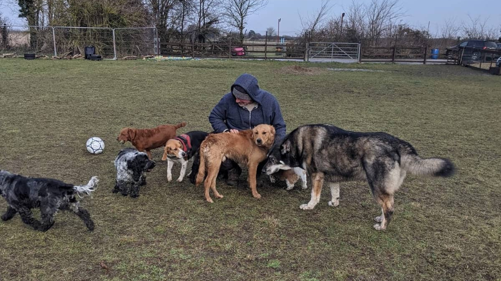 Jason Dean, owner of The Dog Play Co.