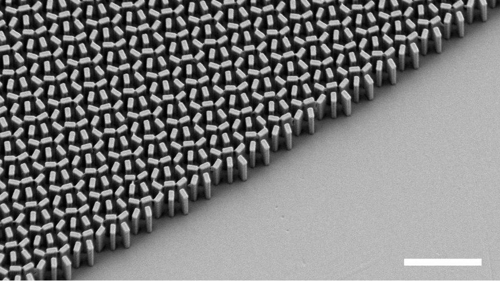 structure of the lens seen under microscope