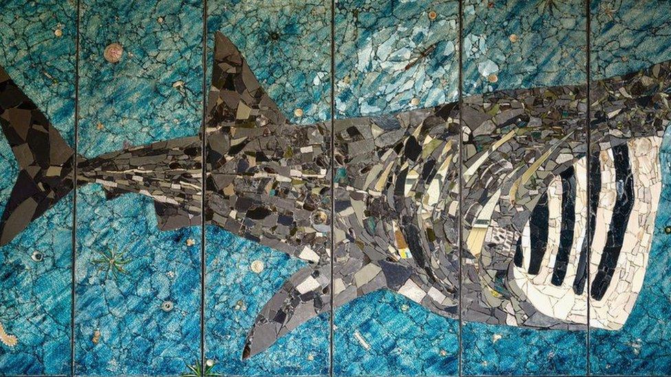 Basking Shark Mosaic