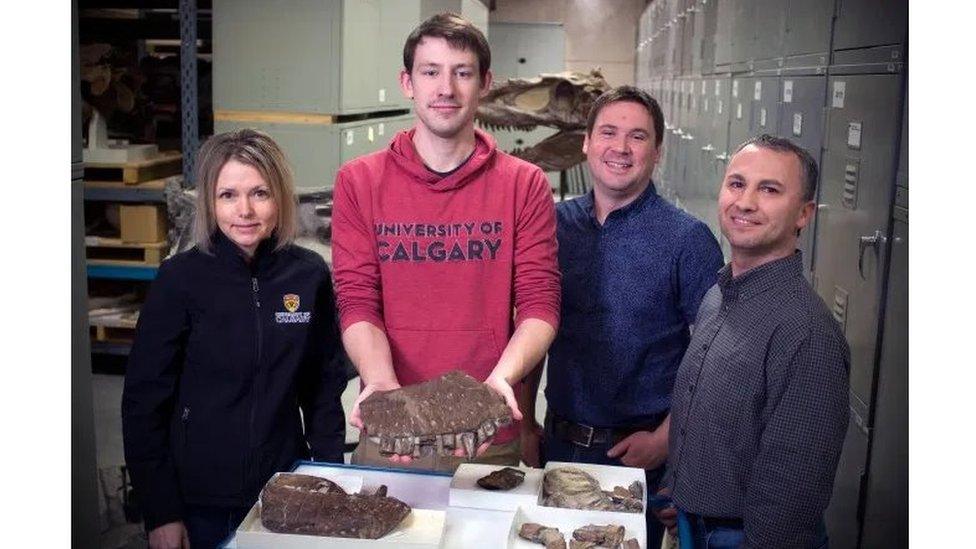 University of Calgary and the Royal Tyrrell Museum