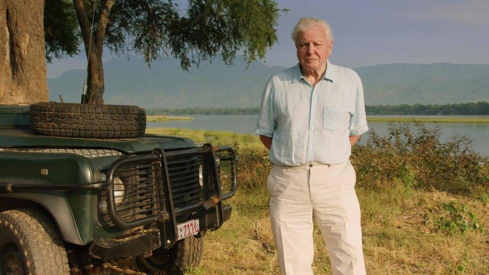 Sir David Attenborough pictured during filming