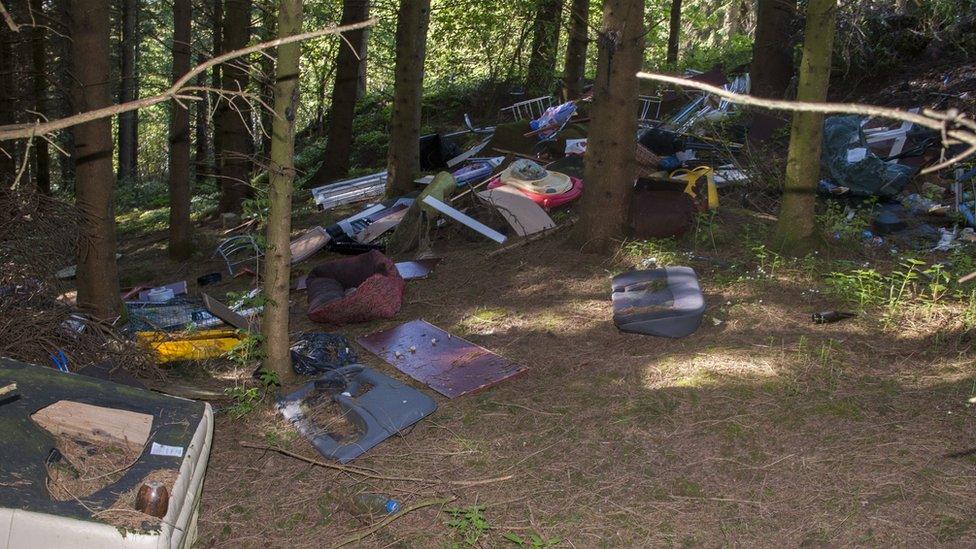 A woodland blighted by fly tipping - items among the mess include broken chairs, kids toys and furniture