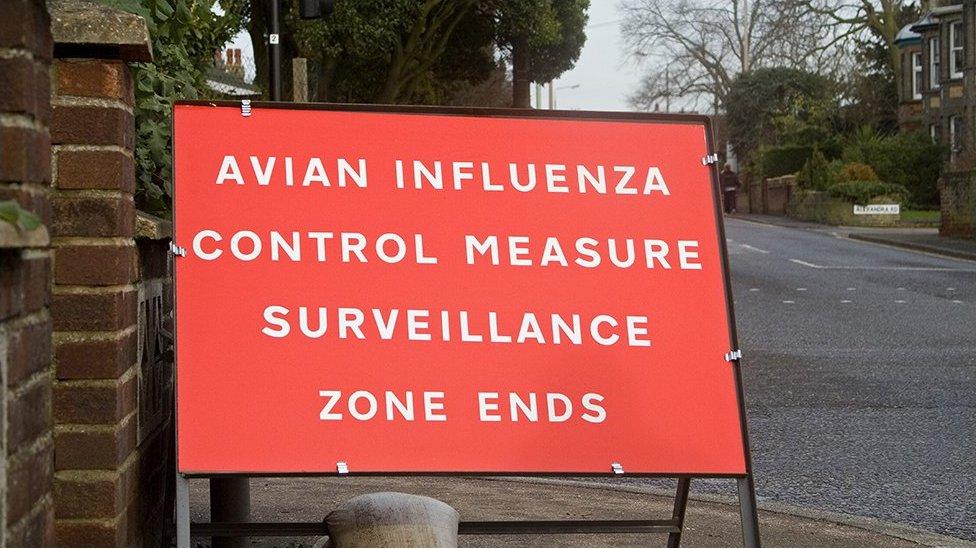 Avian flu road sign