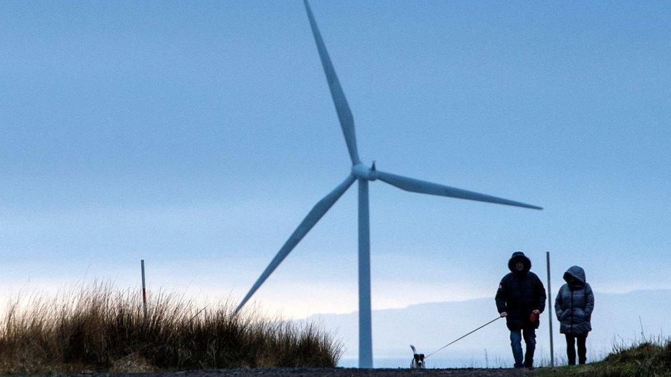 Climate advisers say that renewable power is a more reliable way to lower energy bills