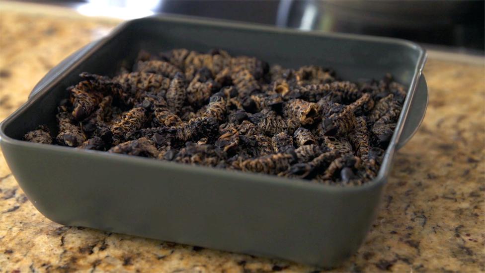 mopane worms