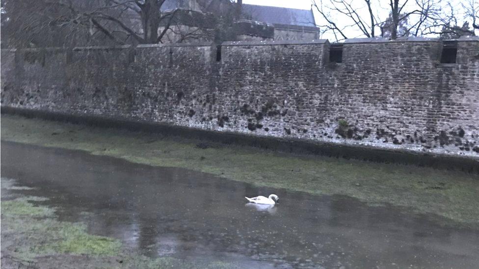 The moat at Bishops Palace in Wells