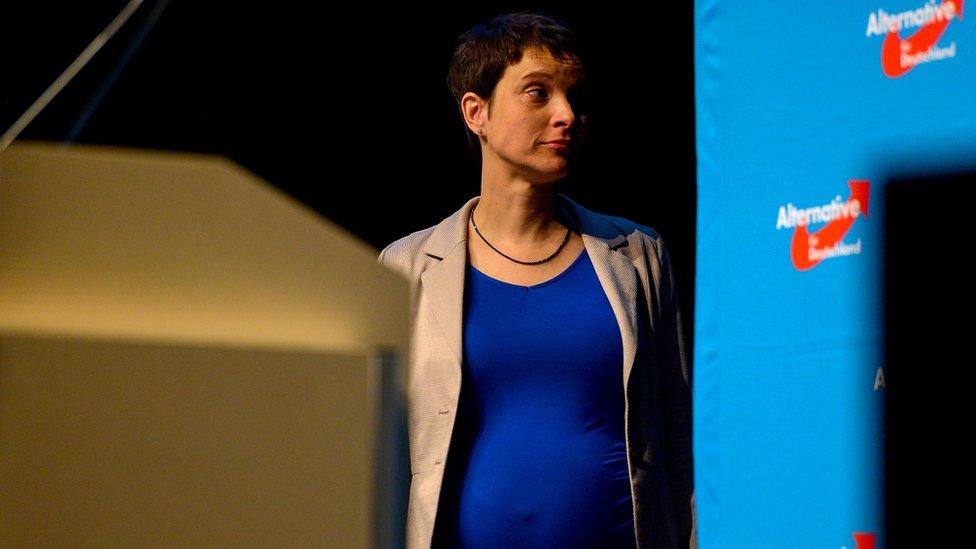 AfD co-leader Frauke Petry on stage at an AfD conference