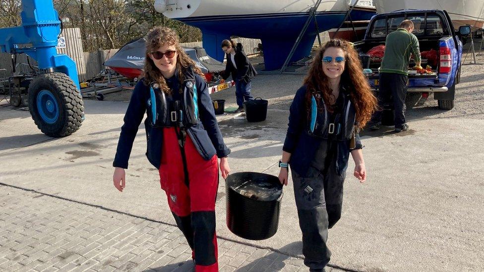 The team releasing the oysters