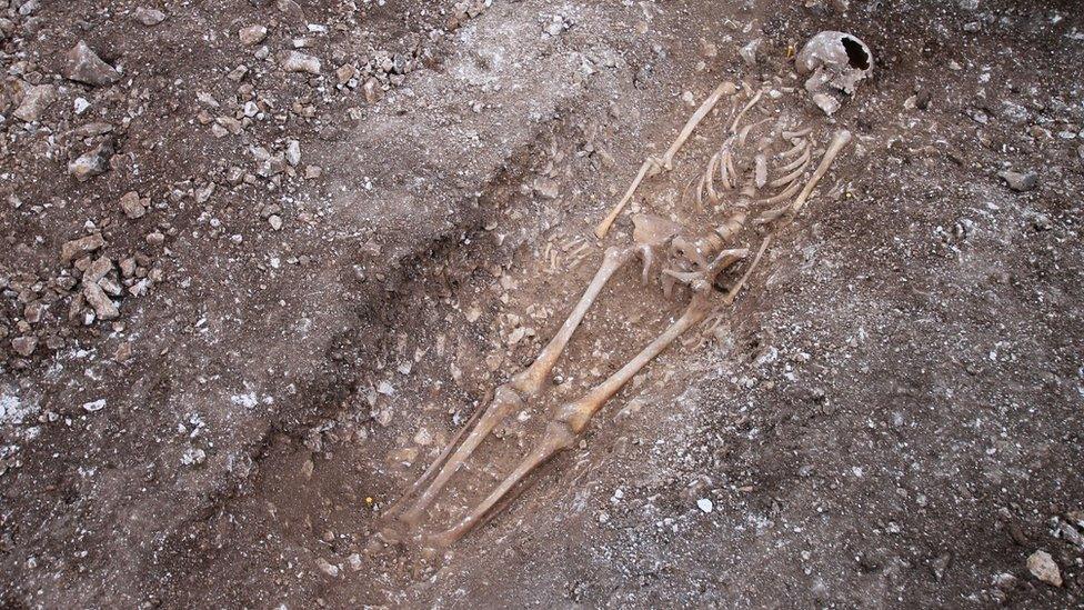 Skeleton discovered on the South Downs