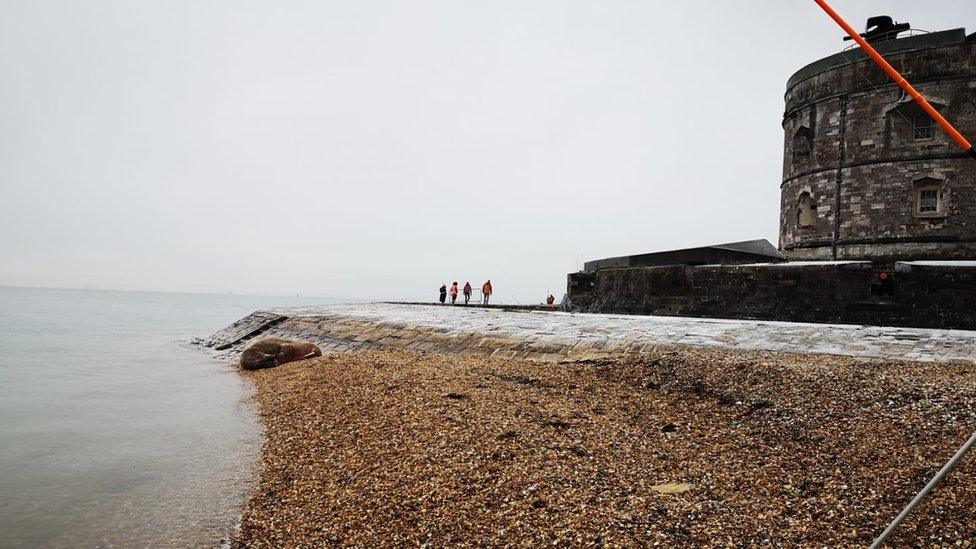 Thor resting at Calshot