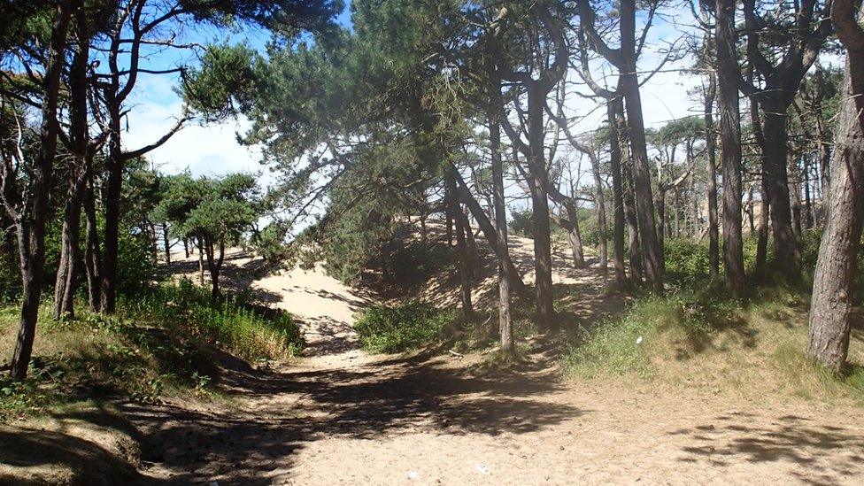 Formby coastal path