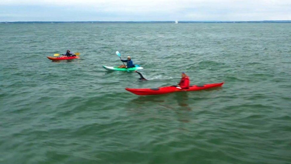 Oly Rush in the Solent