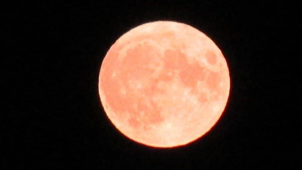 Orange-Harvest-moon.