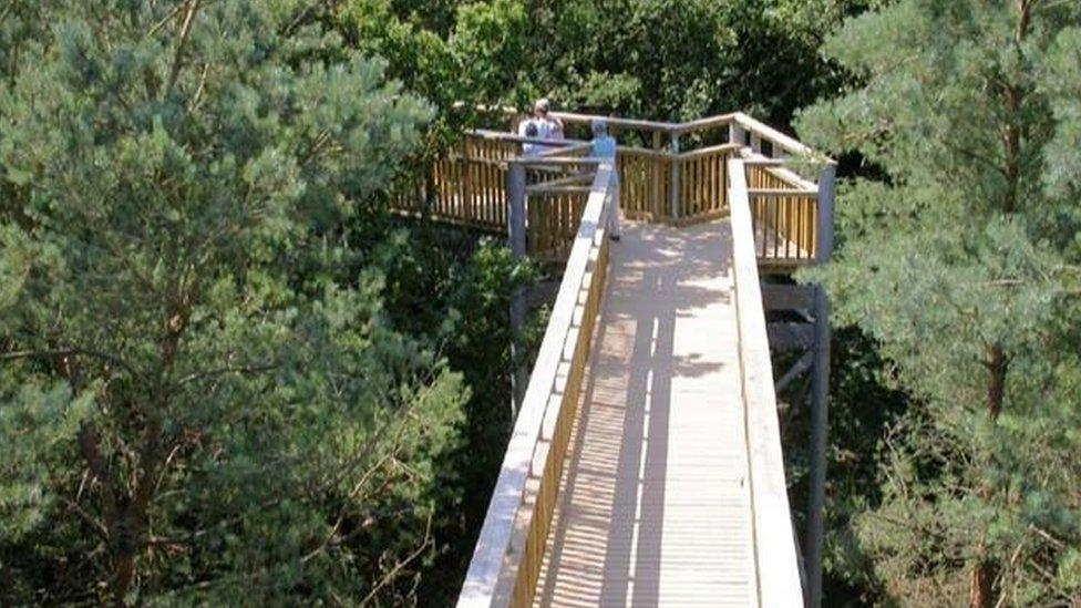 Tree Top Way in Northamptonshire.