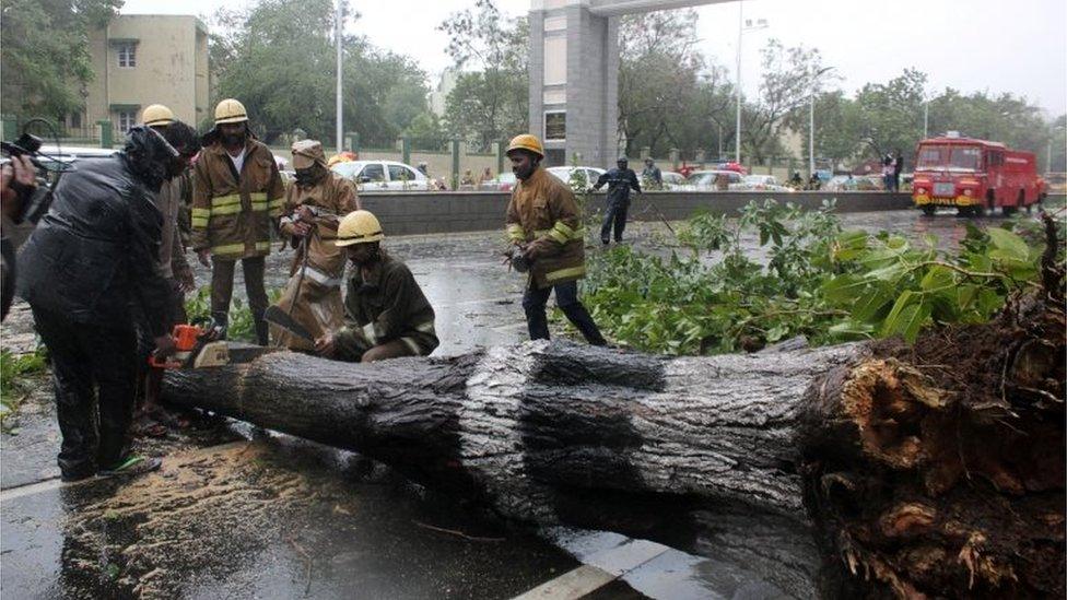 Rescue members cut a tree that fell on a road after it was uprooted by strong winds in Chennai,