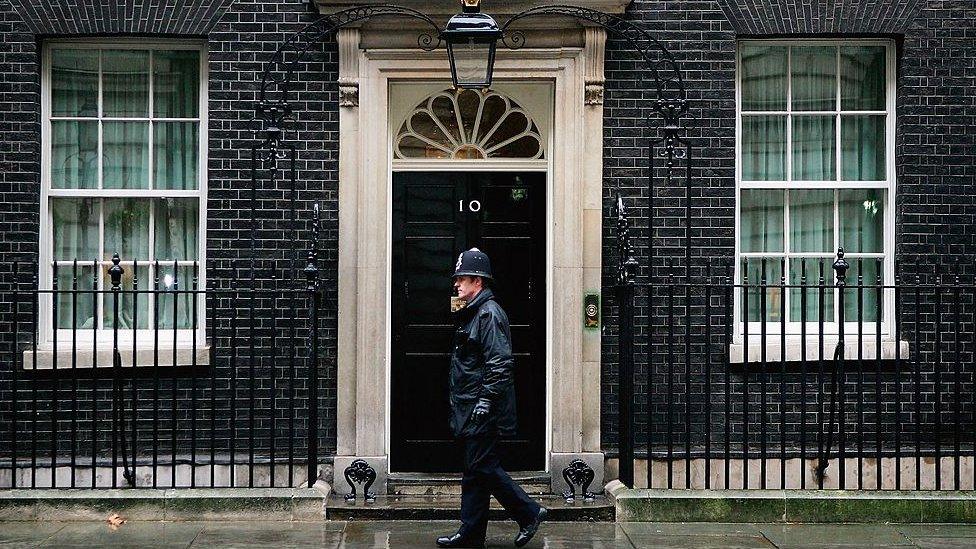 Policeman walking past Downing Street