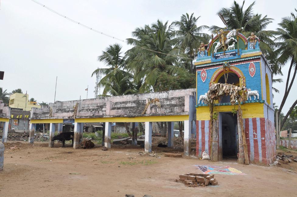 Empty bullfighting arena in village of Palamedu near Madurai, December 2015