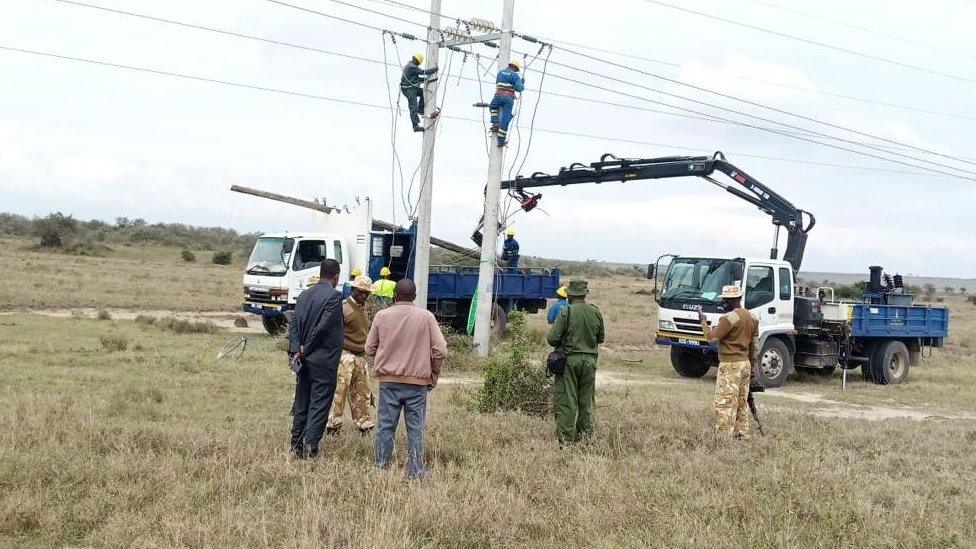 Representatives from KWS examine the power lines