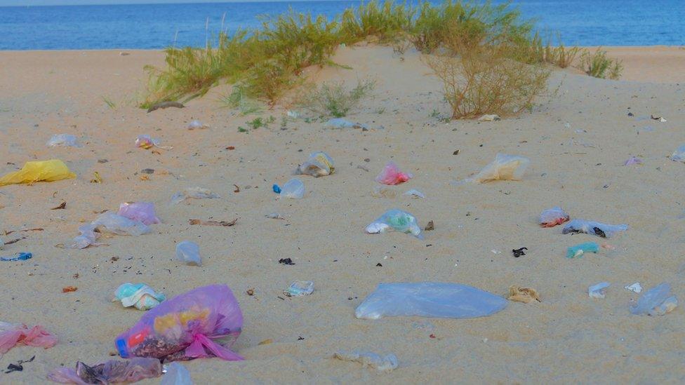 Seaside rubbish