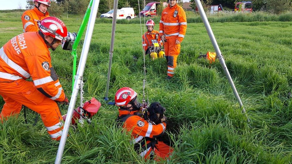 Bobby being rescued