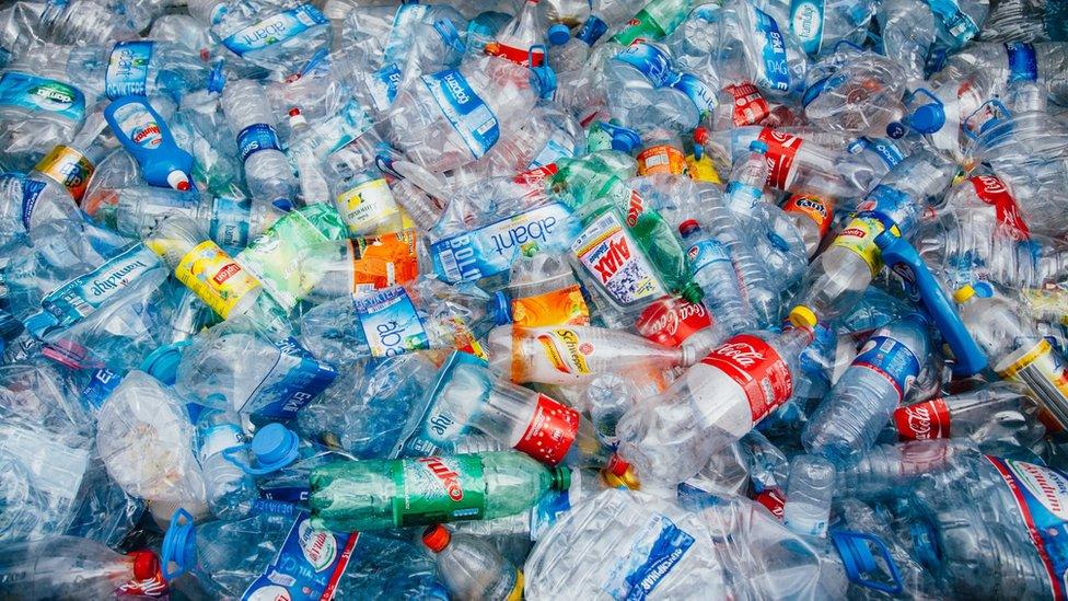 Plastic bottles at recycling plant