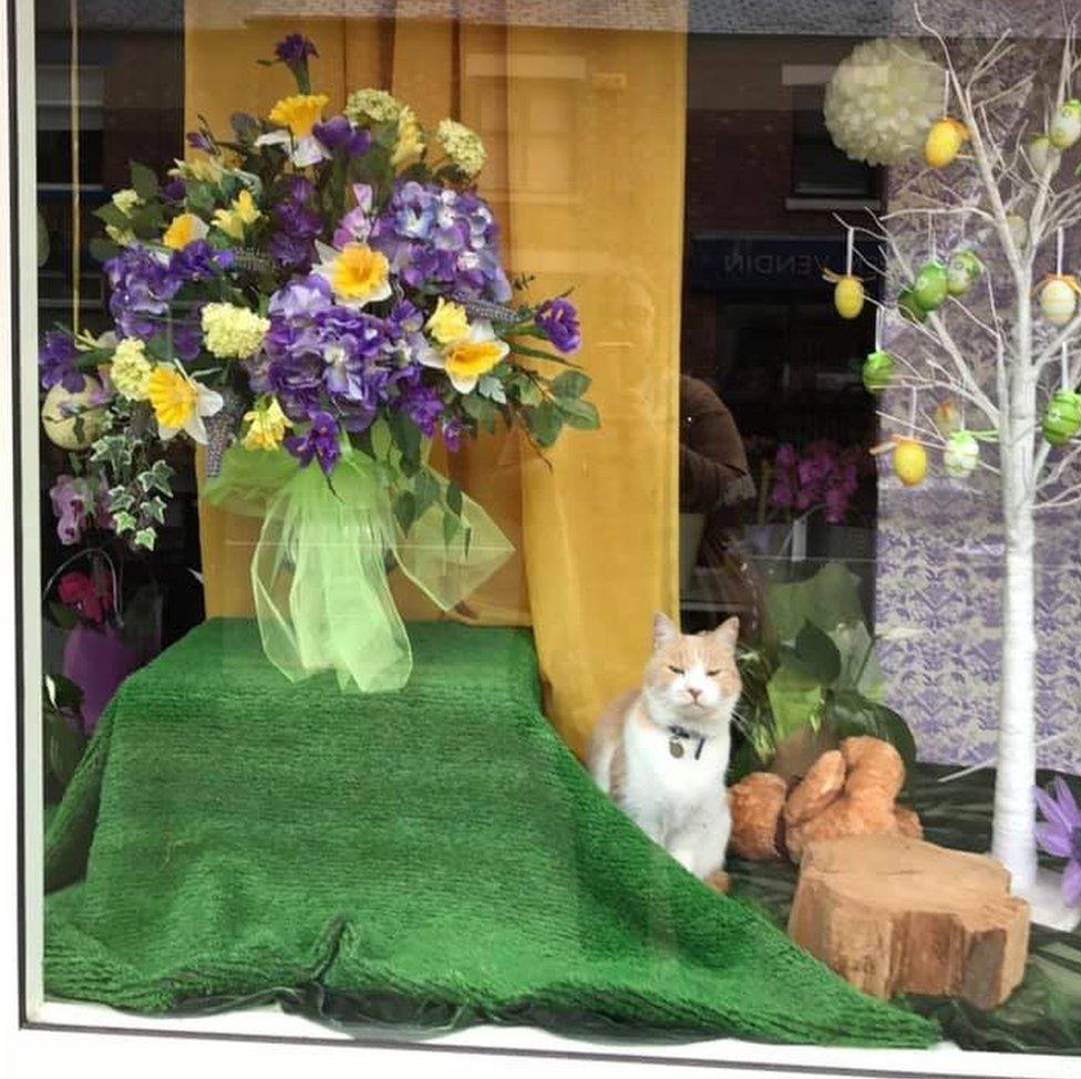 Wilbur in the florists