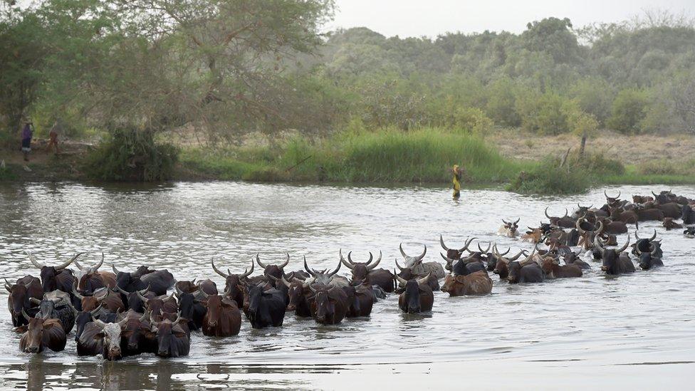 Lake Chad