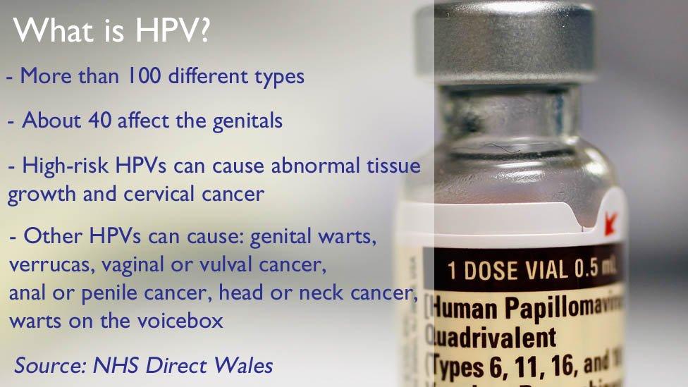 A graphic showing information about HPV