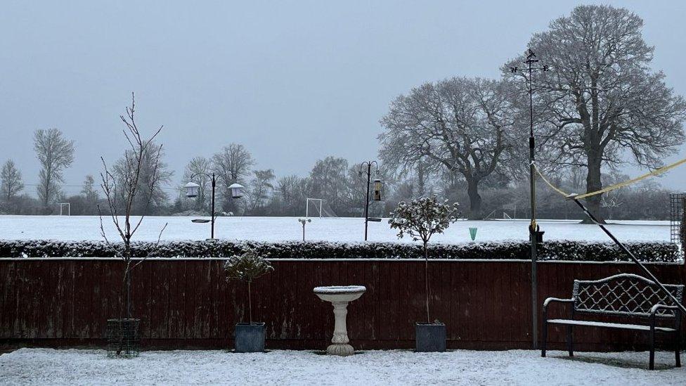 Snow on garden in Diss