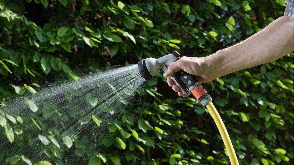 man-watering-plants-with-hosepipes.