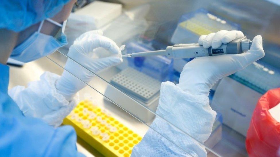 A scientist prepares samples during the research and development of a vaccine against coronavirus in Saint Petersburg, Russia