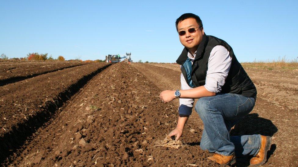 Will Hsu on a freshly harvested field in Fall of 2013.