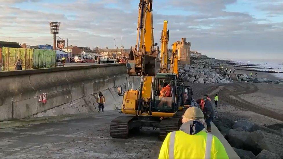 Whale being removed