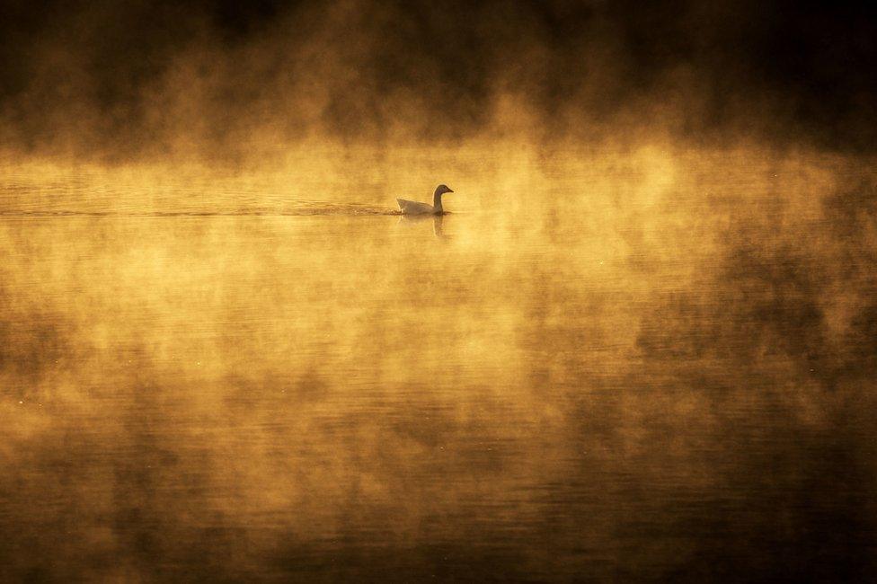 Dawn over the River Trent at Gunthorpe, Nottingham