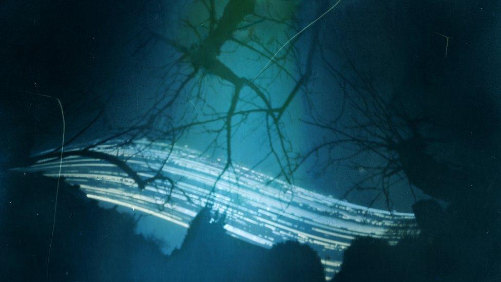 Solargraph featuring trees and a wave of light