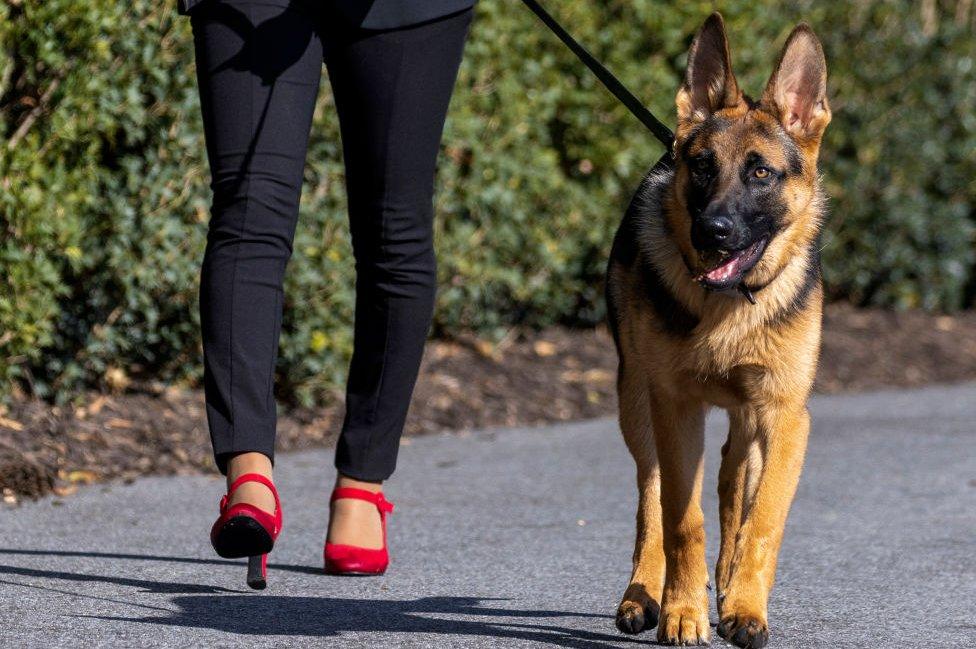 Commander on a walk