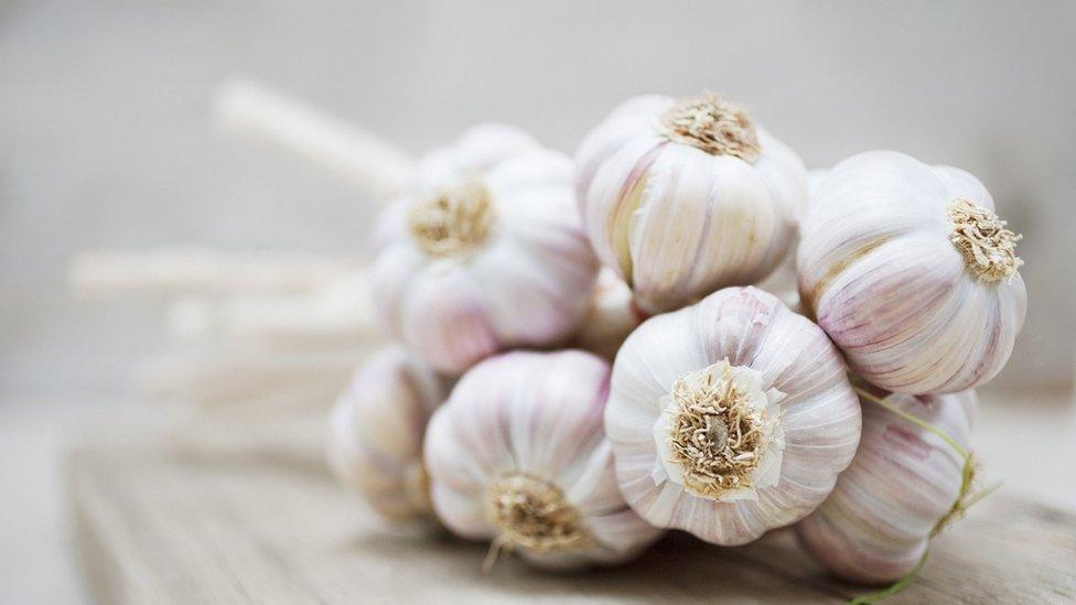 Garlic