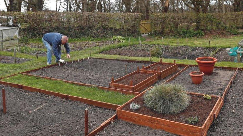 A man tending to his allotment in the south of England