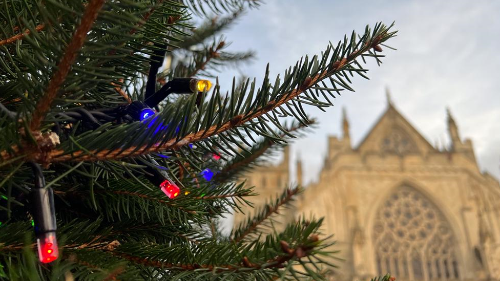 Christmas tree with cathedral in background