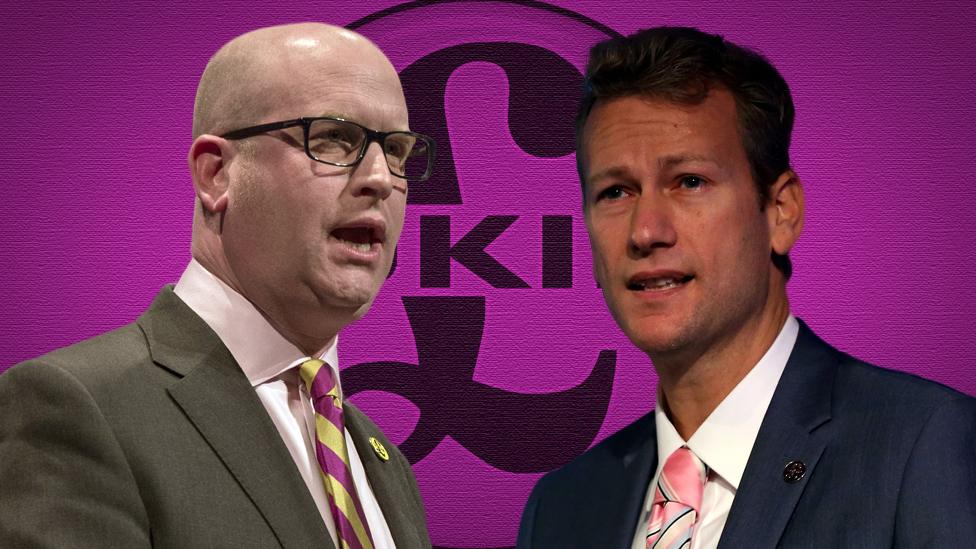 Paul Nuttall and Nathan Gill