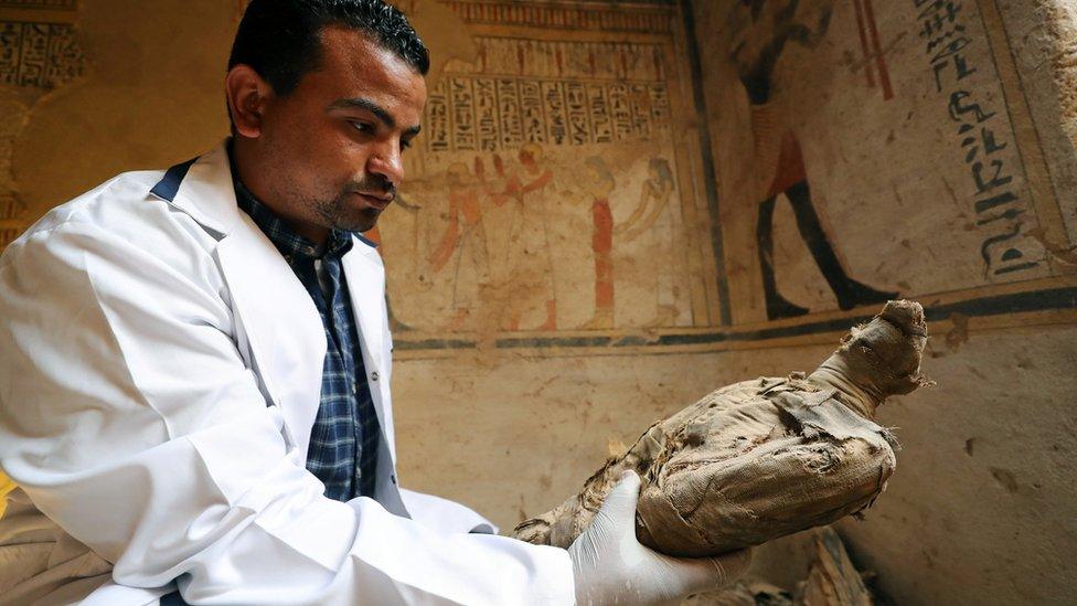 An archaeologist holding a mummified falcon