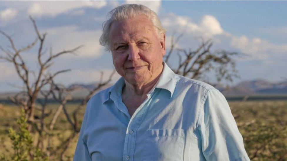 Sir David Attenborough