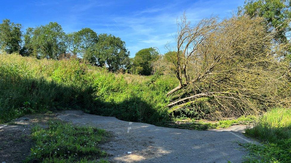 raised tarmac and a fallen tree on the B4069